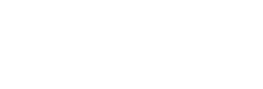 falconDev Logo